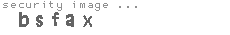 security image