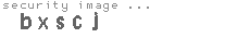 security image