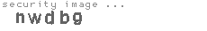 security image