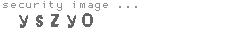security image