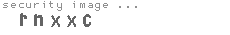 security image