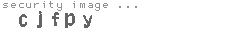 security image