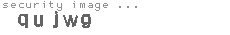 security image