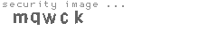 security image