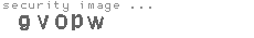 security image