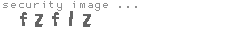 security image