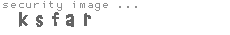 security image