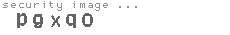 security image