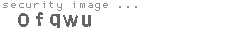security image