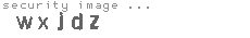 security image