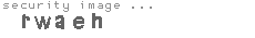 security image