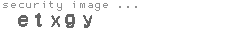 security image
