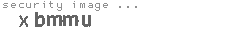 security image