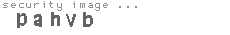 security image