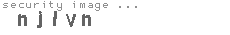 security image
