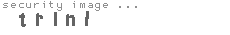 security image