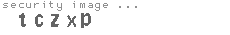 security image