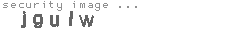 security image
