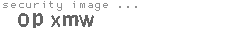 security image