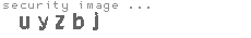 security image