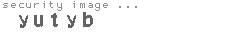 security image