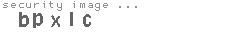 security image