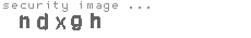 security image