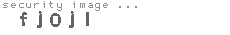 security image