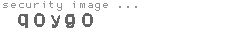 security image