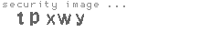 security image