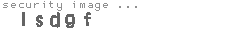 security image