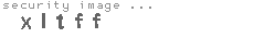 security image
