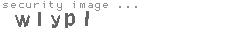 security image