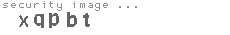 security image