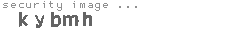 security image