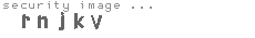 security image