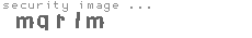 security image