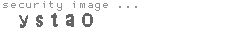 security image