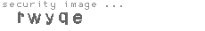 security image