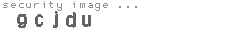 security image