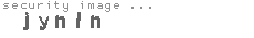 security image