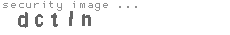 security image