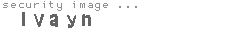 security image