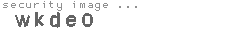 security image