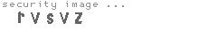 security image