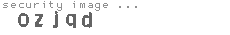 security image