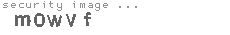security image