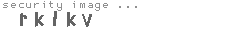 security image