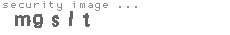 security image