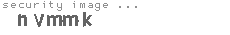 security image